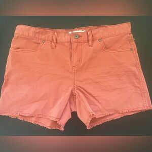 Carve Designs Rust Oahu Shorts